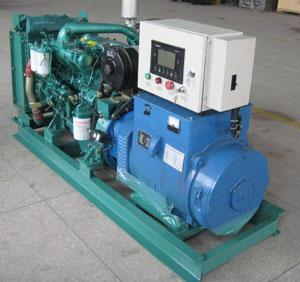 六枝特发电机出租